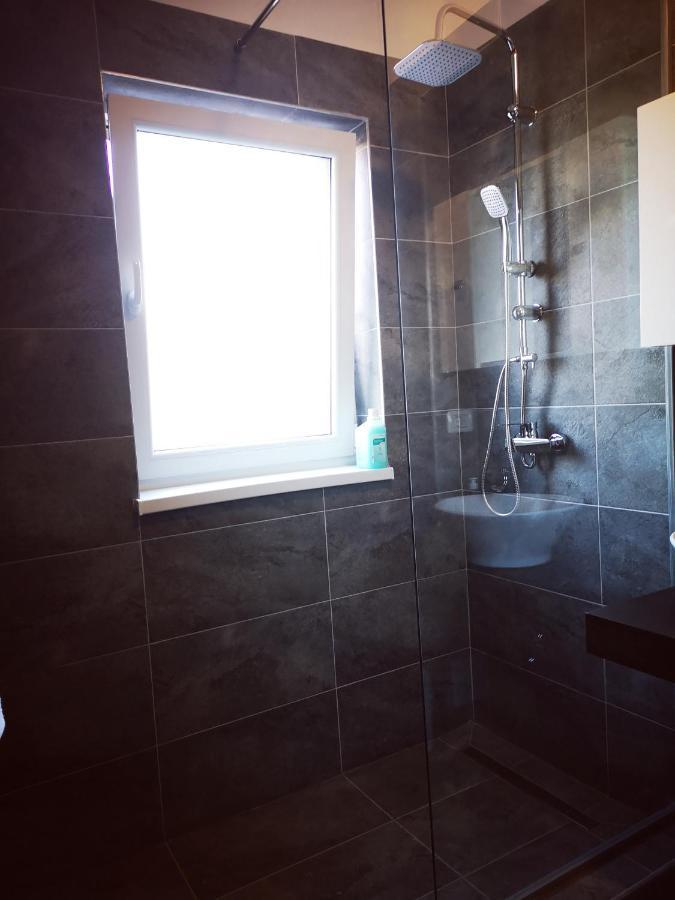 Apartment Vivamus Brasov
